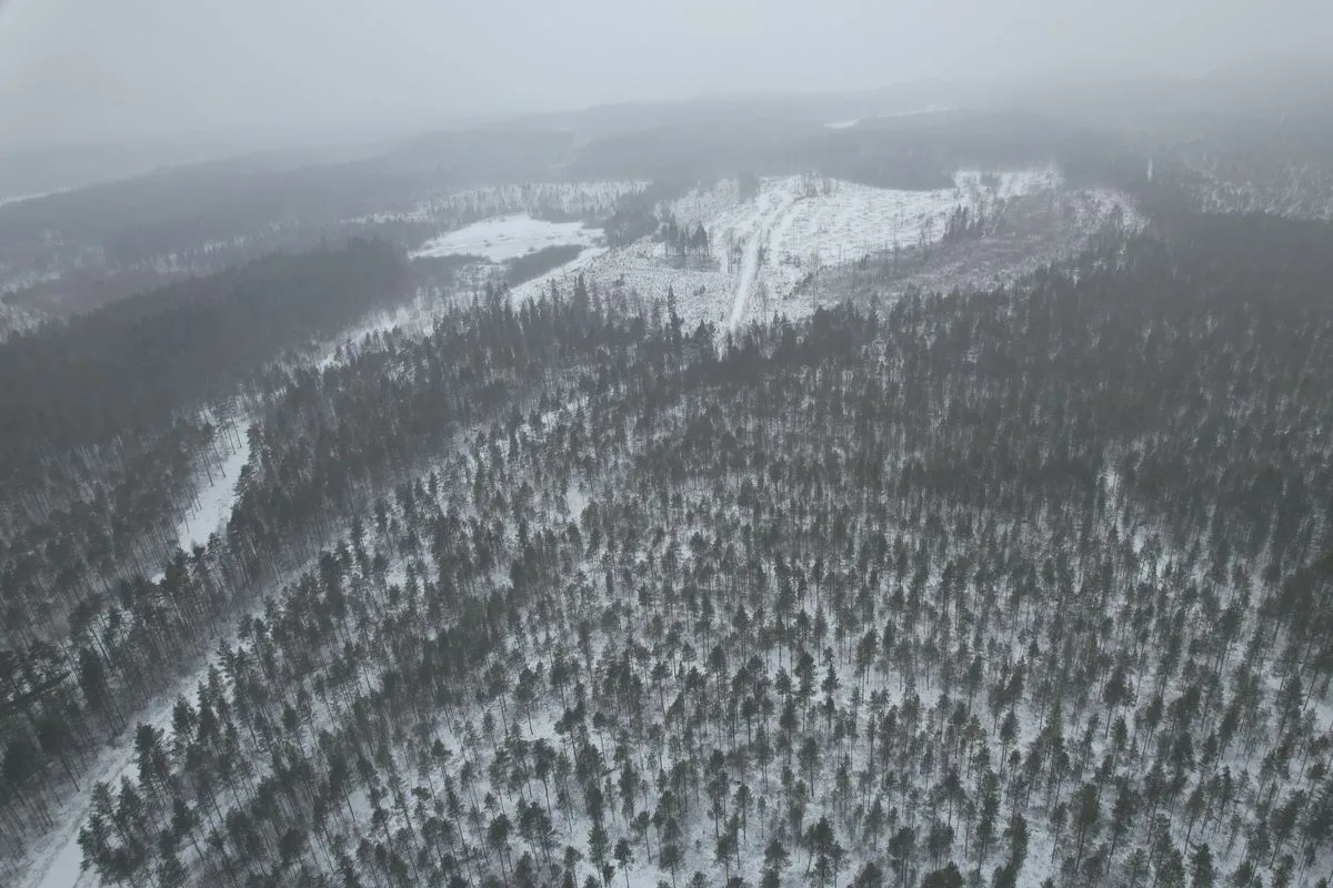 Hallanvahti Solarpark